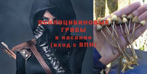 дурь Алексин